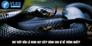 Mơ Thấy Rắn Là Hung Hay Cát? Đánh Con Gì Dễ Trúng Nhất?