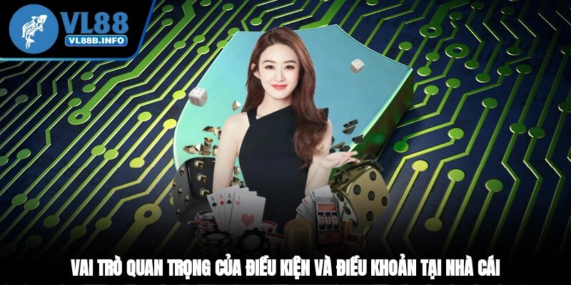 Những thông tin quan trọng của điều kiện và điều khoản tại VL88