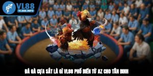 Đá Gà Cựa Sắt Là Gì? VL88 Phổ Biến Từ A-Z Cho Tân Binh