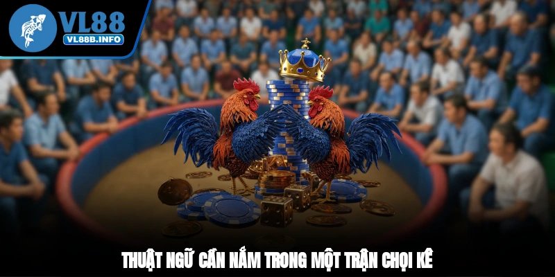 Thuật ngữ cần nắm trong một trận chọi kê